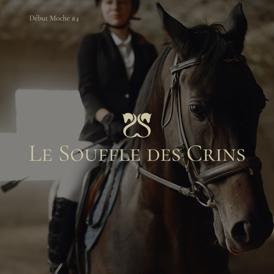 Image de galerie du projet Le Souffle des Crins - visuel 1
