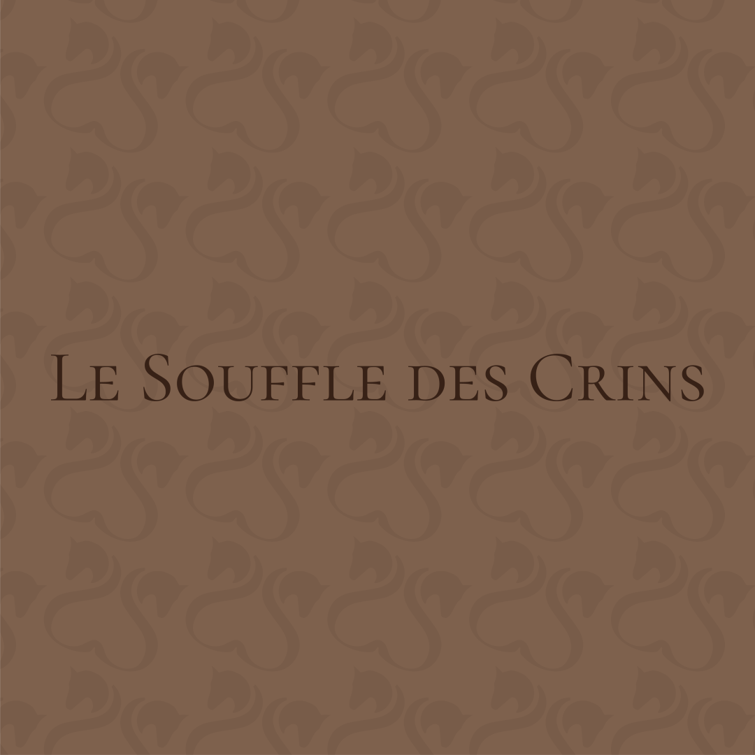 Image de galerie du projet Le Souffle des Crins - visuel 2