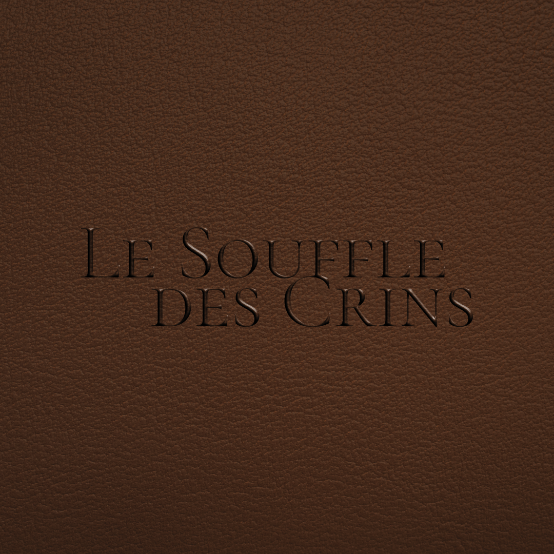 Image de galerie du projet Le Souffle des Crins - visuel 3